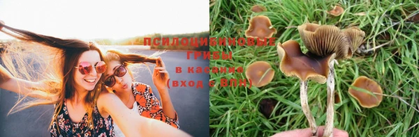мескалин Беломорск